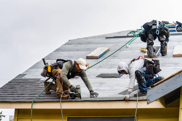 Professional Roofing technician working in Camp Grove, IL